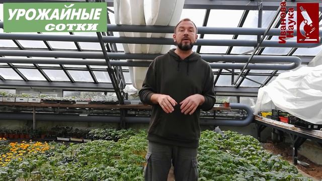 Не спешите! 100 % определение сроков высадки рассады в теплицу и в открытый грунт. смотреть онлайн