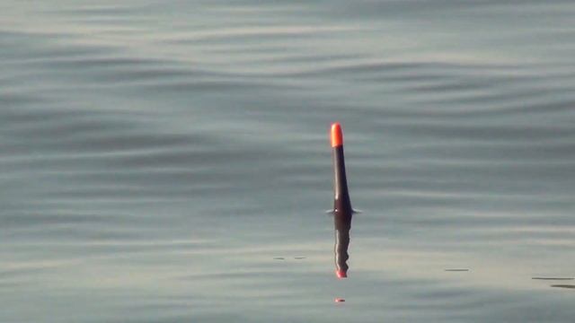 КРАШ ТЕСТ BRAIN PHANTOM 7м!!!))) nrg FISHING смотреть онлайн