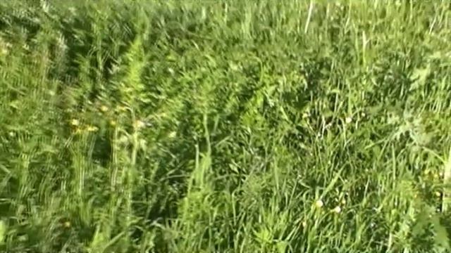 Тюльганский район смотреть онлайн