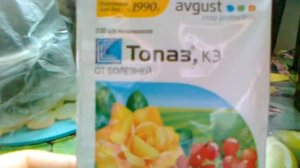 Топаз- лучший препарат от  мучнистой росы