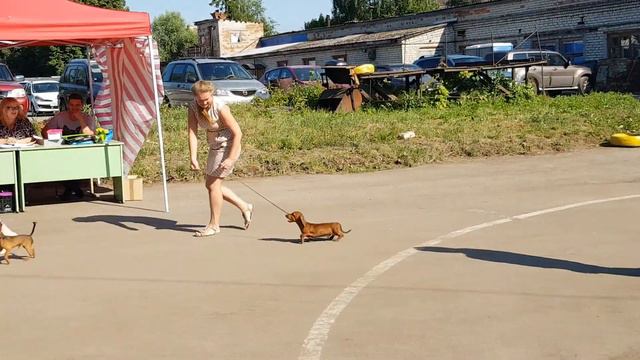 Знарок смотреть онлайн