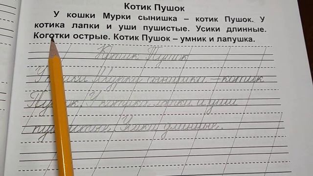 письмо слов и предложений с изученными буквами смотреть онлайн