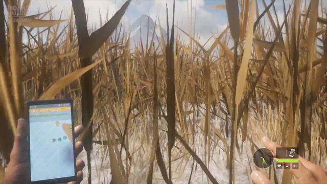 TheHunter_COTW_029_Трэмфайн_Возвращение_фаната_медведей