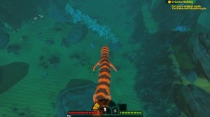 САМЫЙ МАКСИМАЛЬНЫЙ УРОВЕНЬ В ИГРЕ | Feed and Grow Fish