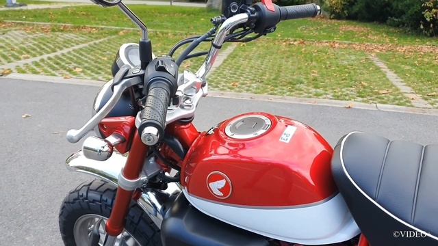 HONDA MONKEY 125 CC MODEL 2020 WALKAROUND