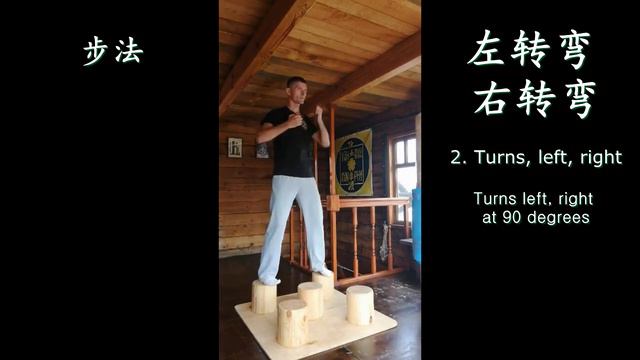 Wing Chun Lessons. 5 pillar technique #2 смотреть онлайн