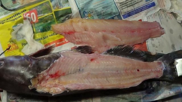 Явление которое заражает все больше водоемов! Вредитель который уже расплодился хуже ротана! смотреть онлайн