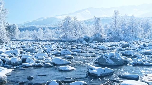 Beautiful Most Popular Christmas Carols: Instrumental Christmas Music 