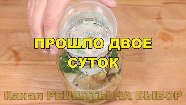 Изучение и Применение Психологических Практик