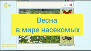 Весна в мире насекомых