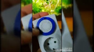 Таймер света #аквариум #акваскейп #аквариумистика #ростения #травник