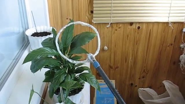 Устройство для сбора собачьих фекалий ч 1 смотреть онлайн