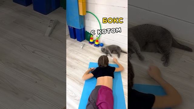 Три упражнения для осанки. С котом