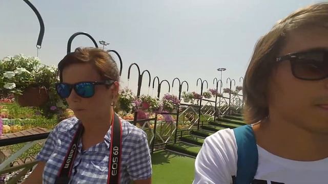 ДУБАЙ. ПАРК ЦВЕТОВ DUBAI MIRACLE GARDEN. Пляж Кайт-Бич, ОАЭ BURJ AL ARAB отель Парус смотреть онлайн