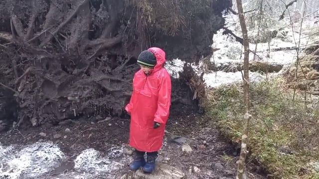 Семейное путешествие в Карелию. Длинная версия смотреть онлайн
