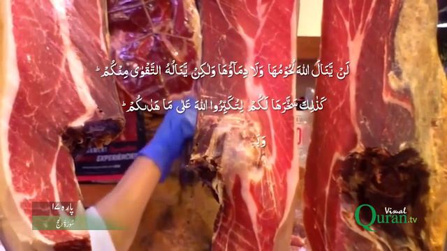 22 Surah Al Hajj | Para17 | Visual Quran with Urdu Translation смотреть онлайн