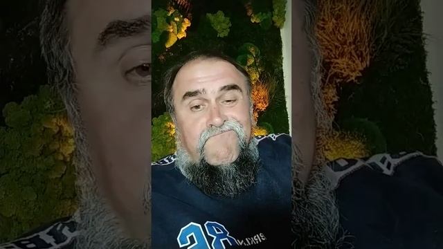 В Египте акула съела русского туриста. УМНОЕ ЖИВОТНОЕ смотреть онлайн