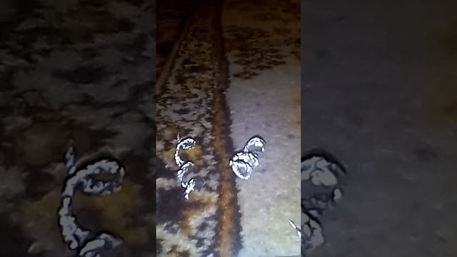 Цветок из фольги (как сделать) смотреть онлайн