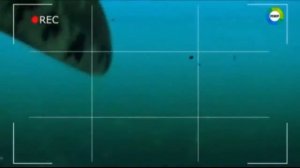 Это нашли на дне океана Самые интересные находки с морского дна