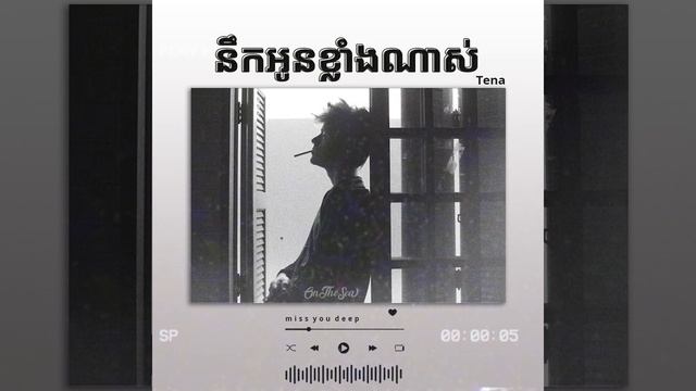 នឹកអូនខ្លាំងណាស់-nek o klang nas | Tena Cover | Sad Song смотреть онлайн