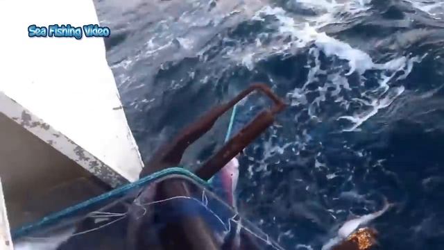 Everyone should watch this Fishermen's video - Amazing Automatic Net Fishing Line Catching Big Fish смотреть онлайн