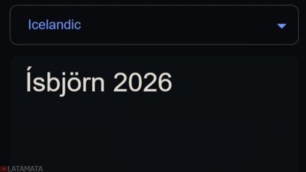 Polar Bear 2026 in 70 Languages Meme