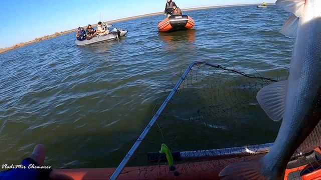 СУДАК НА ДЖИГ ОСЕНЬЮ. ЛОДКА, МОТОР. Рыбалка на ОВХ. смотреть онлайн