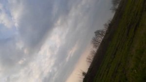 Ниссан Пресаж обзор