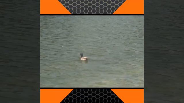 Фото за пол лето смотреть онлайн