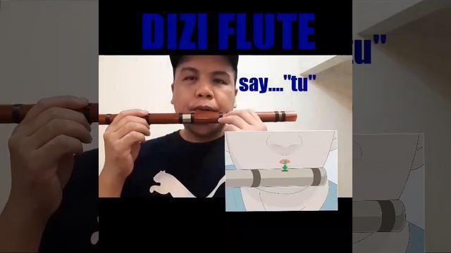 Dizi Bamboo Flute key of C - Lesson 1 -Introduction (Notes C,D,E) смотреть онлайн