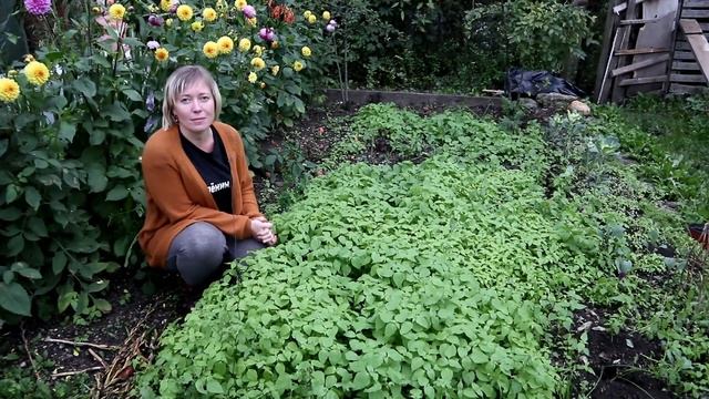 НЕ ПОВТОРЯЙТЕ эту ошибку! / Глупости сидерации смотреть онлайн