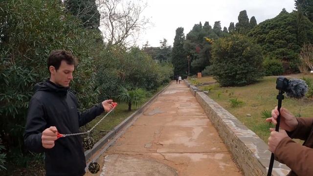 Парк Воронцовского Дворца сверху вниз к алупкинскому пляжу смотреть онлайн