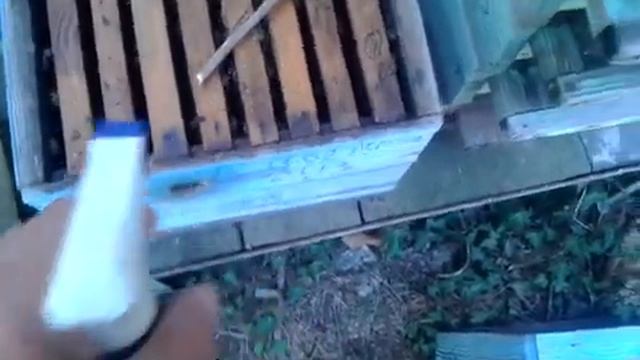 Обработка щавелевой кислотой от клеща после изоляции матки в нуклеусе Джинн. смотреть онлайн