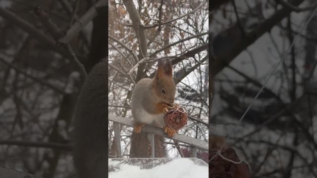 24 ноября 2023 г. смотреть онлайн