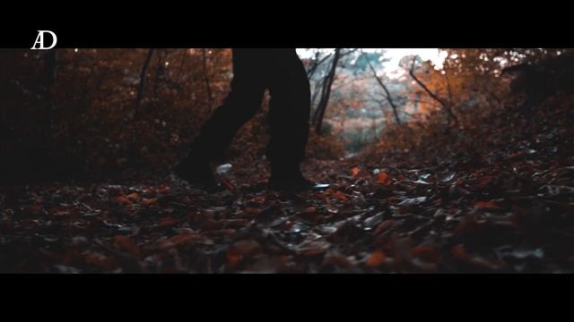 Sony 7iii FE 3.5-5.6/28-70 Zhiyun Crane 2 смотреть онлайн