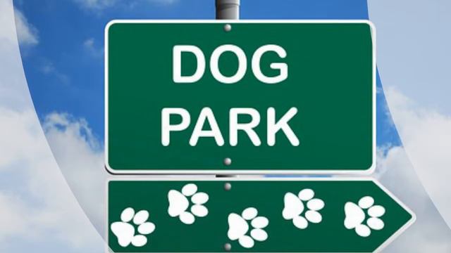 Blue Heeler Coffee Mug Series One смотреть онлайн