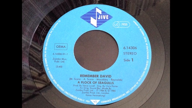 A Flock Of Seagulls // Remember David (7) смотреть онлайн