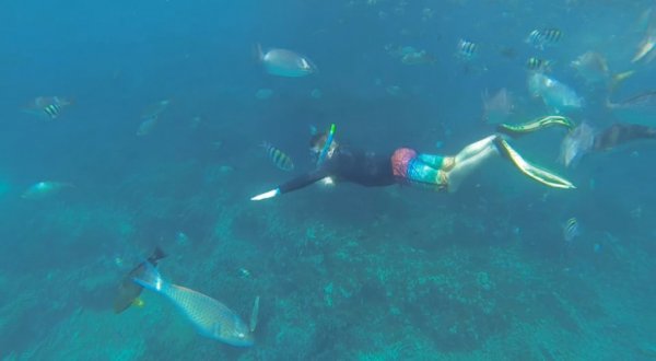 Diving in Thailand. The beginning.
