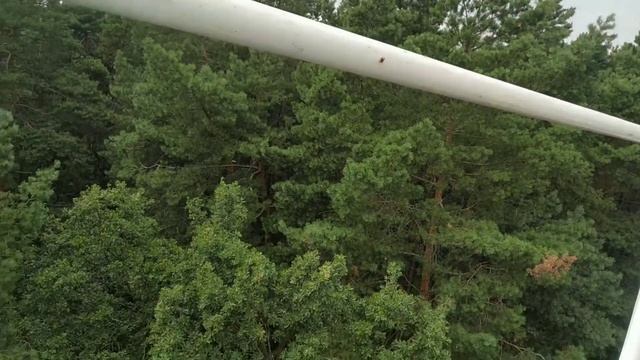 Отправили Паштета на колесо обозрения в парке Ёлочки (Домодедово) смотреть онлайн