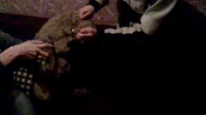+18 Жестокая расправа !!!.480.mp4