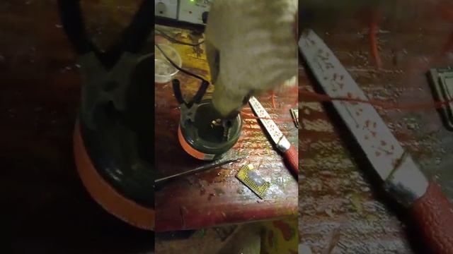 Миллион на радиодеталях!добываю золото из плат часть 1# смотреть онлайн