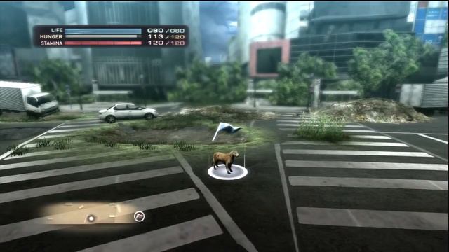 Let's Play Tokyo Jungle - Tutorial смотреть онлайн