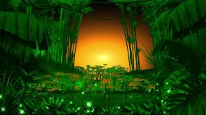 Футаж: Восход солнца. Волшебный очаровывающий мир азиатских джунглей. Jungle