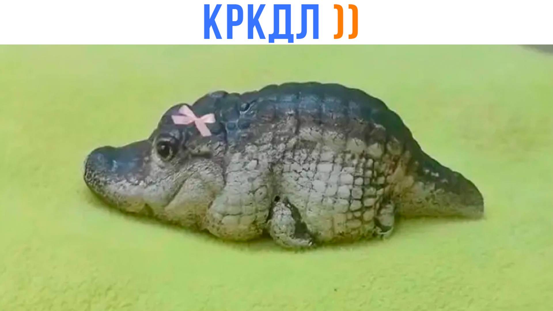 КРКДЛ ))) | Приколы | Мемозг 1487 смотреть онлайн
