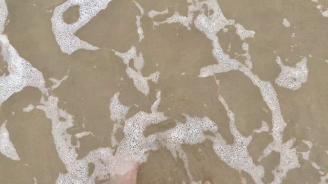 고양이와 떠나는 여름 바다캠핑ㅣ고성 삼포해수욕장ㅣ스캠프카라반 캠핑ㅣ4K