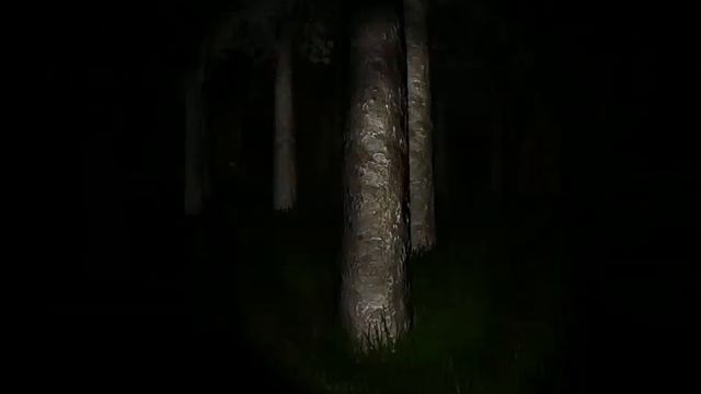 Slender-обзор игры (Очканул) смотреть онлайн