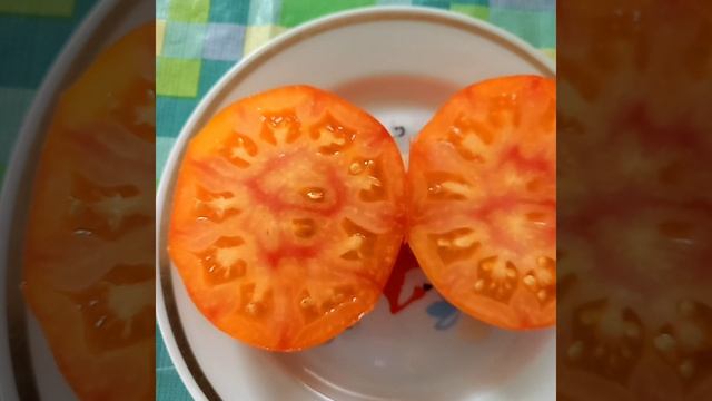 Томат ЗОЛОТО ЧЕРОКИ РОЗОВЫЙ (биколор )в разрезе.Коллекционный сорт. смотреть онлайн