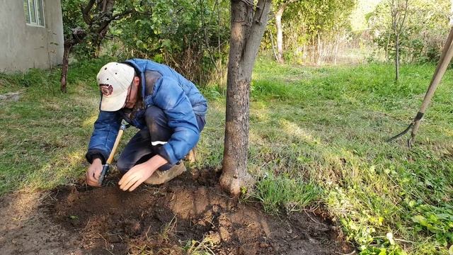 15 Этот камень я выкопал (3).mp4 смотреть онлайн