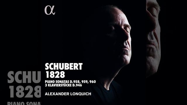 Piano Sonata No. 19 in C Minor, D. 958: II. Adagio смотреть онлайн