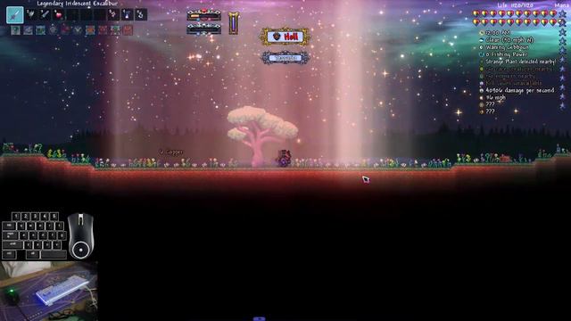 Fighting a Deity (Terraria: Wrath of The Gods) смотреть онлайн